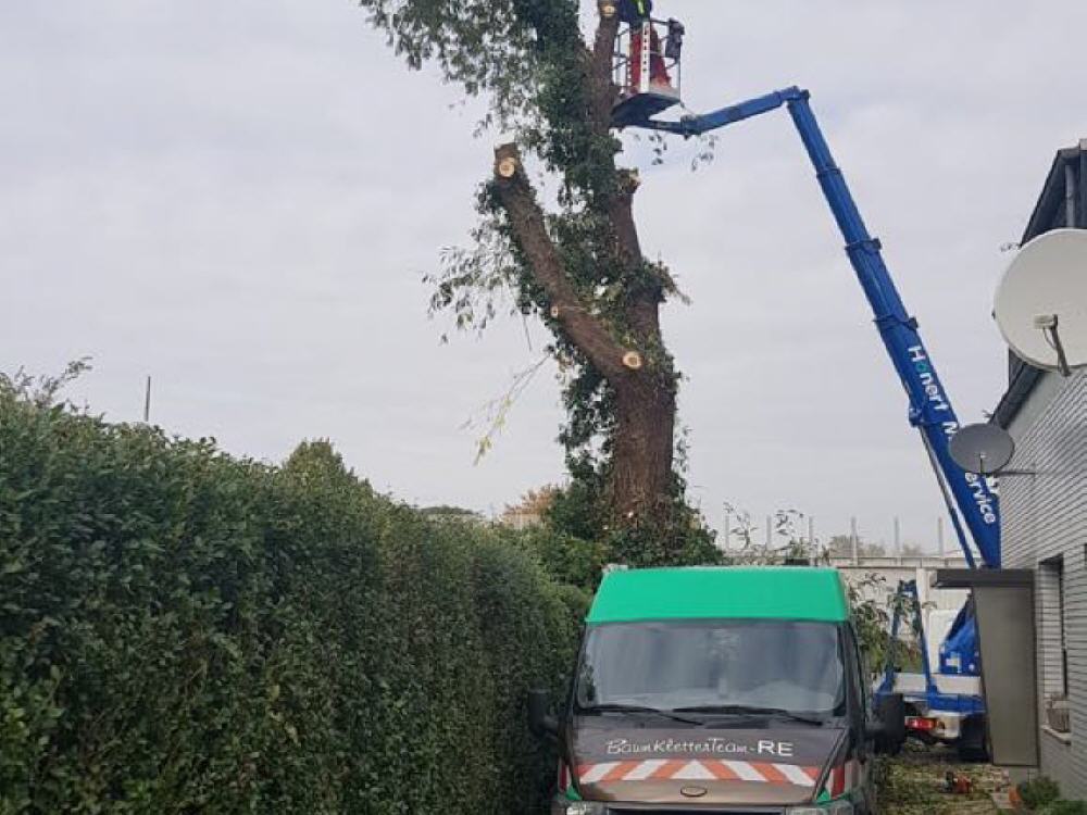 Hubsteiger und beschriftetes Einsatzfahrzeug des BaumkletterTeam-RE